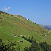 gerlostalalm wiesen