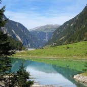 rinder weiden bei speicher stillup