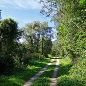 drautal radweg und jakobsweg bei nikolsdorf