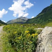 schoenverwalltal bei rossboden weg bike trail tirol mtb route