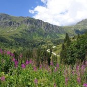 aussicht von ganiferstrasse auf versalspitze und verbellatal fr