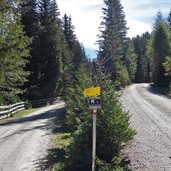 abzweigung wildmoos gruft weg zur nauderer tschey