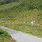 walserweg bei zeinisjoch galtuer