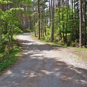 mieminger radweg r richtung arzkasten