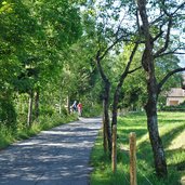 uferweg aschauer ache radroute