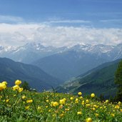 navistal bei stoecklalm blick richtung stubaier alpen