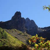 eberesche herbst bei obstans