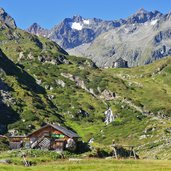 landschaft bei alpein alm dahinter franz senn huette