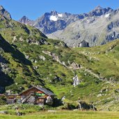 landschaft bei alpein alm dahinter franz senn huette