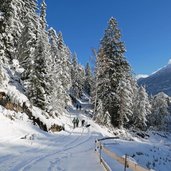 hochimst weg nr bei hachleschlucht winter