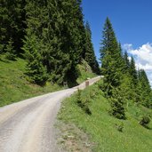 hahnenkamm von steinbergkogel bis auffahrt ehrenbachhoehe fr