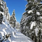 hochimst weg nr bei hachleschlucht winter