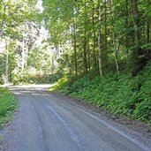 hahnenkamm forststrasse kitzbuehel