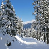 imst winterweg rodelbahn weg zur latschenhuette