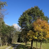 herbststimmung am stanzertaler radweg richtung schnann