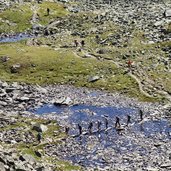 wanderer bei feuchtgebiet am rinnenkarbach