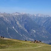 gleitschirmflieger am venet beobachtet von kuehen dahinter lechtaler alpen