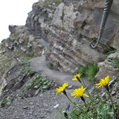 drischlsteig gesichterte stelle und treppen