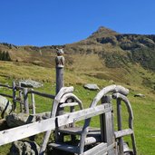 hochwildalm blick richtung sonnspitze