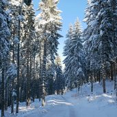 weg von fuersthof zur bergstation reither kogel winter