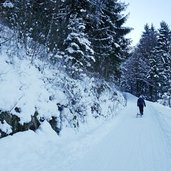 naturrodelbahn aschenbrenner kufstein rodeln