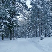 naturrodelbahn aschenbrenner kufstein