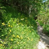 weg a kaiserklamm richtung erzherzog johann klause