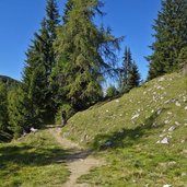 weg von weissenbachalm zur baerenbadalm bei weissenbachsattel