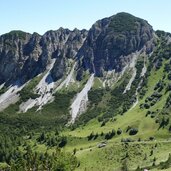 almwiesen und blick auf hohe burg felsen fr