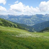 wiesen am jufenkamm oberhalb jochberg aurach dahinter kitzbueheler alpen richtung saalbach hinterglemm