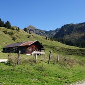 aurach bei kitzbuehel wildalm fr