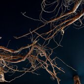 Feuer Werk Ausstellung