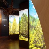 Feuer Werk Ausstellung