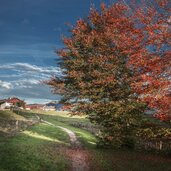 Herbststimmung Region Hall Wattens