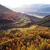 Laerchenwald im Herbst mit Blick auf Reith bei Seefeld