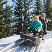 SFL Familien Coaster Schneisenfeger