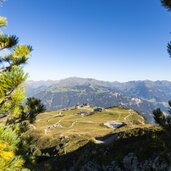Sommer Landscape Ahorn