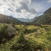 Wandern Schobergruppe Debant