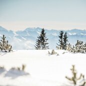 Winterlandschaft im Pillersee Tal