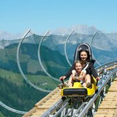 coster auf timoks alm in fieberbrunn