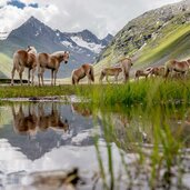 gurgl rotmoostal sommer