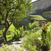 kraeutergarten festung kufstein