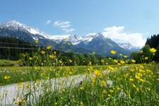 fruehling bei scheffau am wilden kaiser