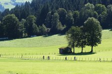 radwanderweg radfaher bei kirchberg in tirol