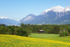 aldrans prockenhofweg herztal wiesen fruehling