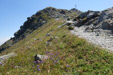 aufstieg zum venet gipfel glanderspitze