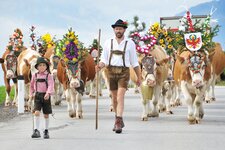 Almabtrieb Reith im Alpbachtal