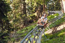 SFL Familien Coaster Schneisenfeger