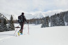 Sattelbergalm Pfons