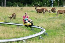 Sommerrodelbahn Assling Assling